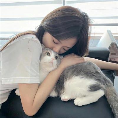 维琴河第六季